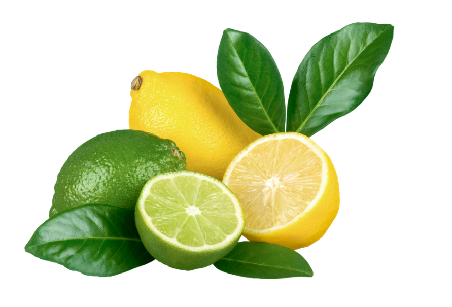 Iraq Fresh Lemon Importers List