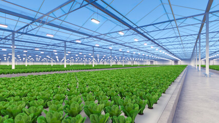 List of Romania Plant nursery wholesalers