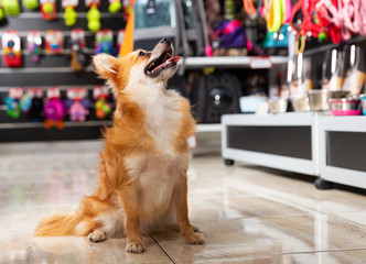 Lista de empresas de suministros para mascotas de EE. UU.