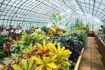 List of Hungary Plant nursery wholesalers