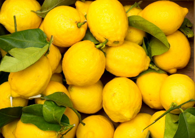 Lesotho Fresh Lemon Importers List