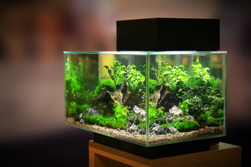 List of Estonia Aquarium Shops