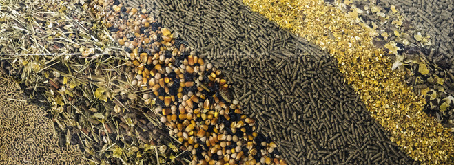 Animal feed store in Belgium, HS Code 2309