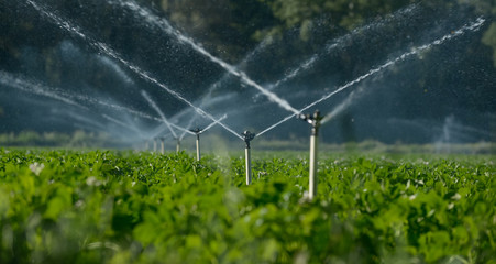 Irrigation Equipment Suppliers in Hungary, HS Code 842481