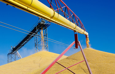 Grain elevator France