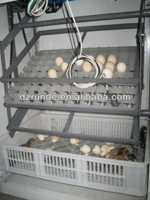 https://cdn.forie.comChina