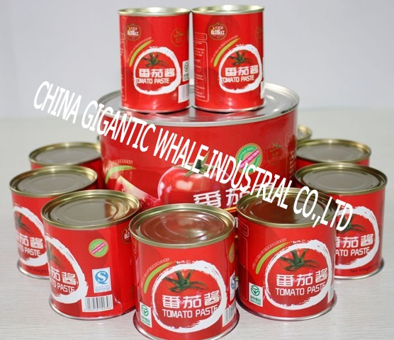https://cdn.forie.comChina