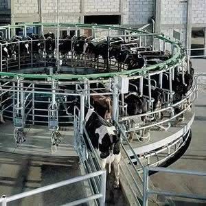 Turkish company request: milking parlour - Forie.com