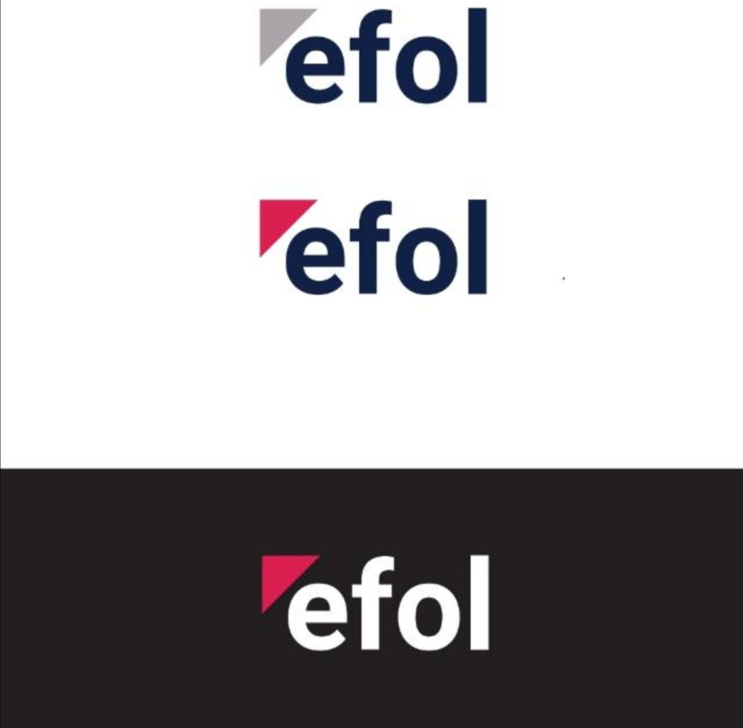 EFOL OTOMOTIV SAN. VE TIC. A.S.