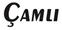 CAMLI PVC BOYA LTD. STI.