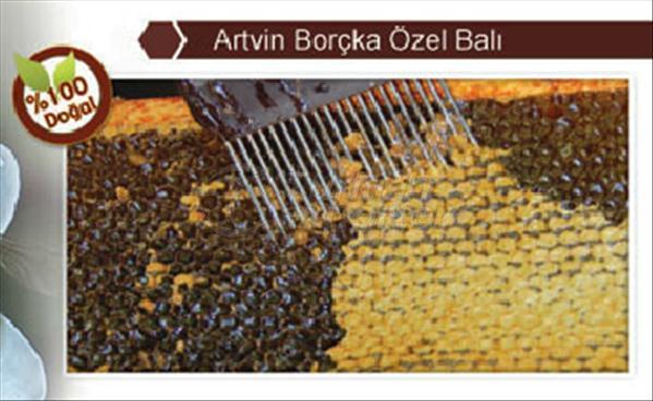 Mel especial Artvin Borchka