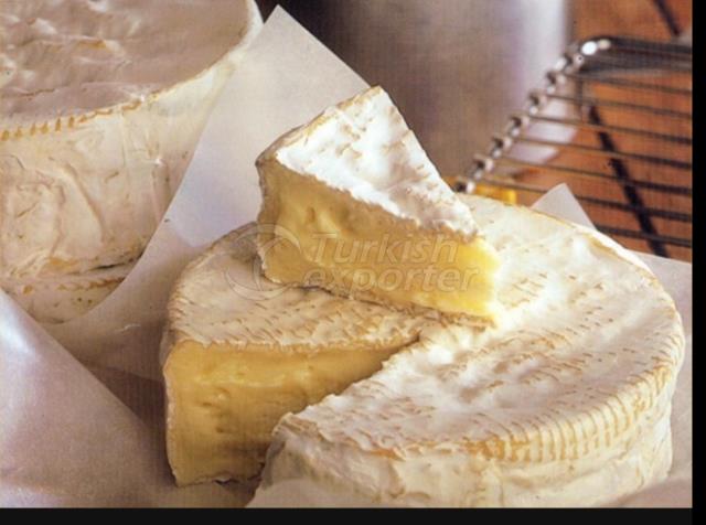 Camambert Cheese