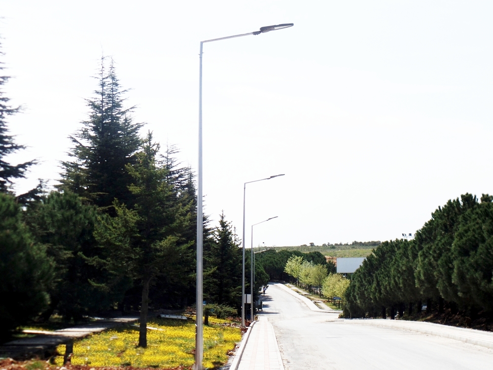 Led Street Lights