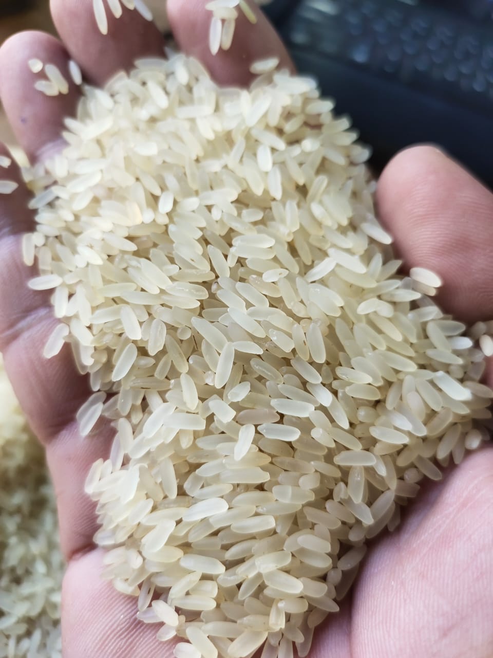 RICE