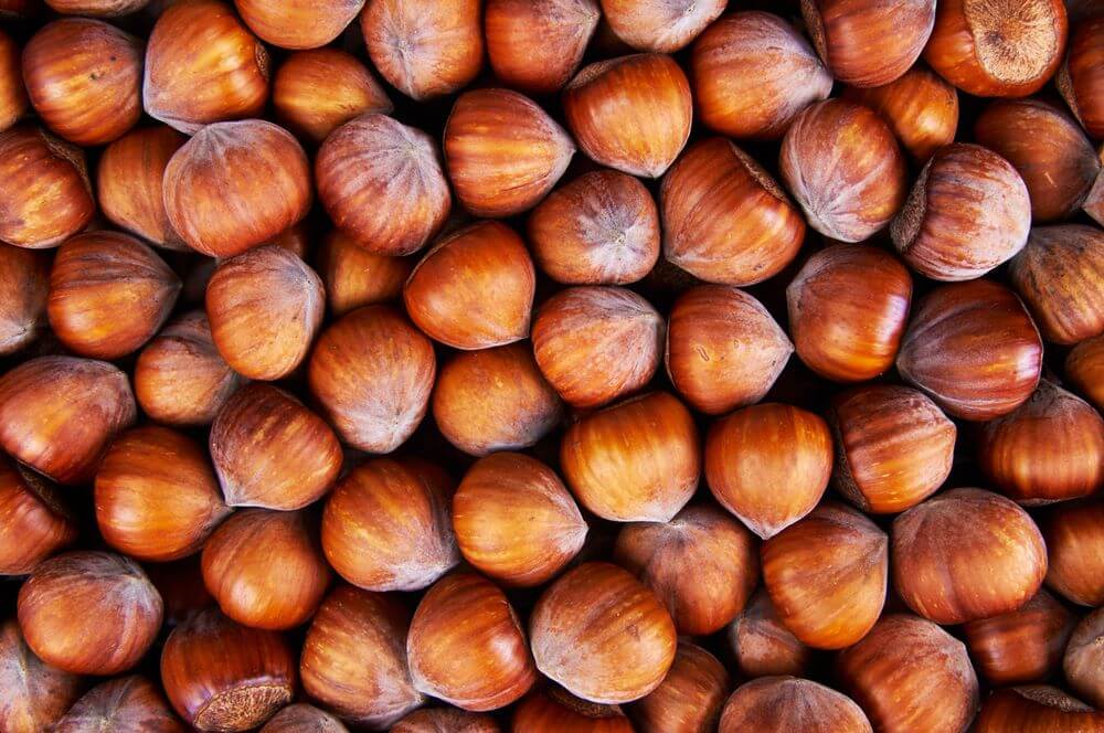 Shelled Hazelnut