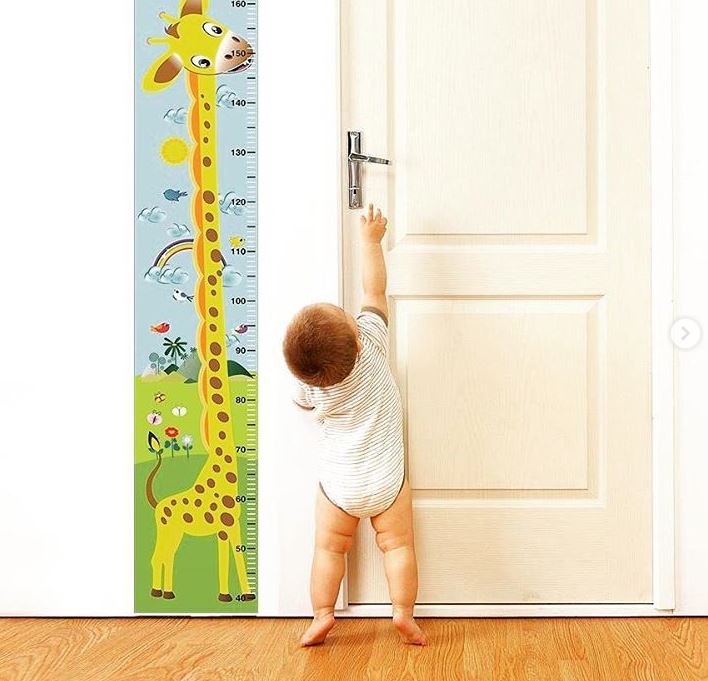 Height ruler