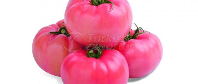 Acelya Tomato Seeds