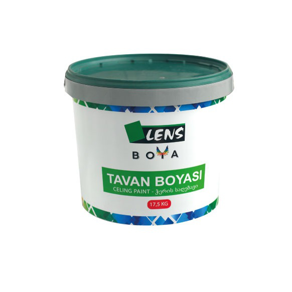 Tavan Boyası