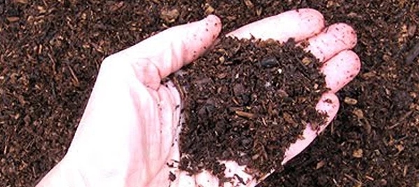 Organic Compost Mix 