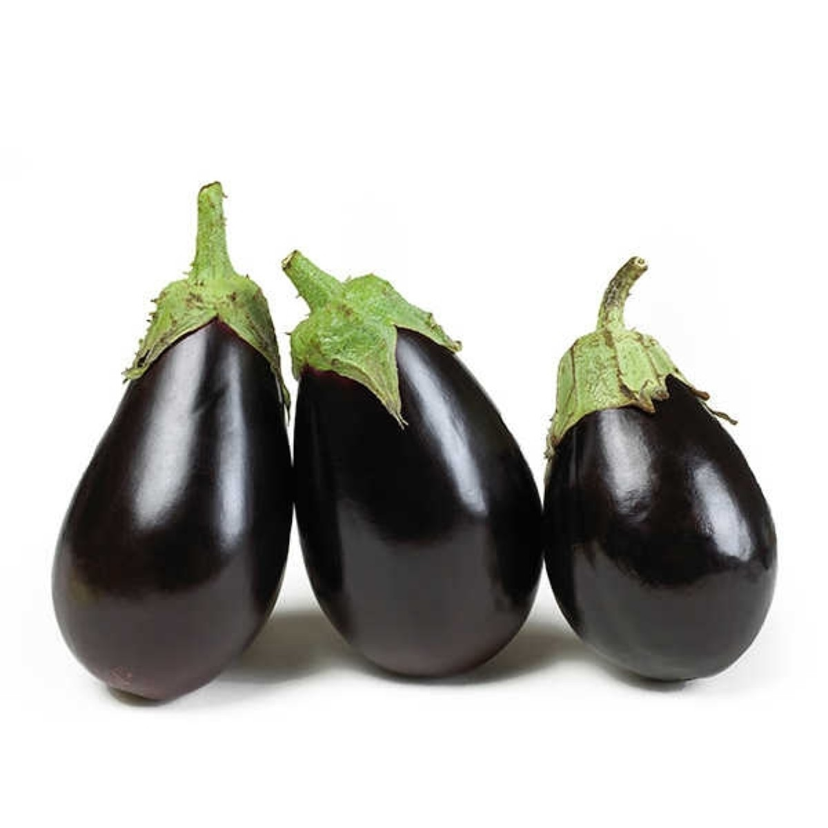 Eggplant