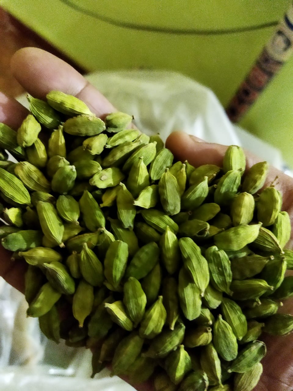 Cardamom