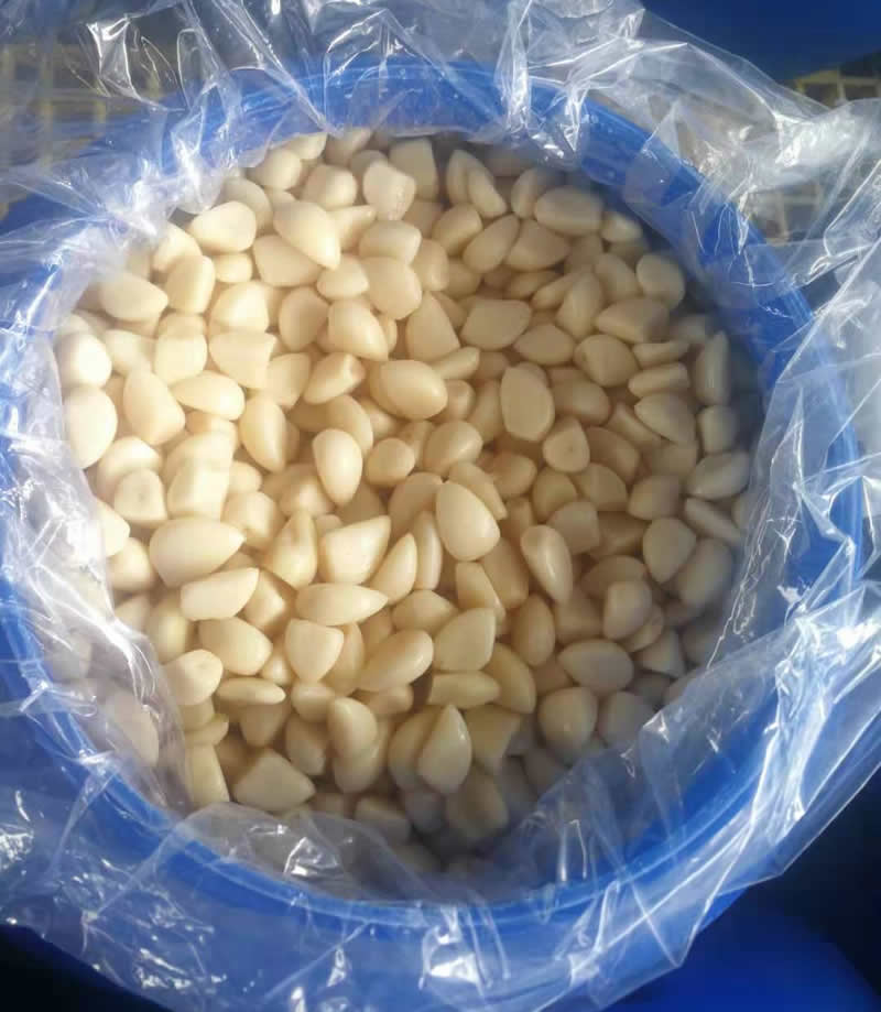 Salted Garlic