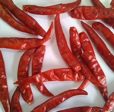 RED DRY CHILLIES