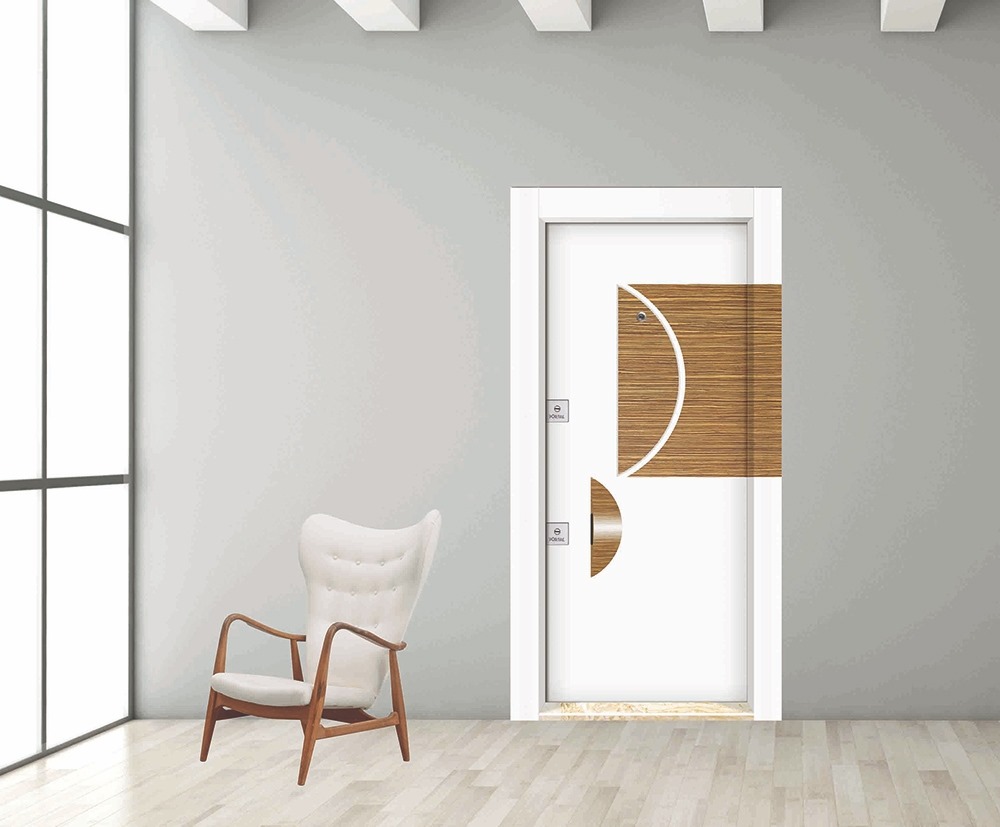 Steel Door
