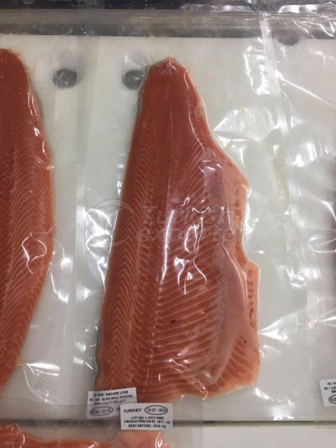 Salmon