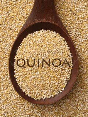 QUINOA KINOA KINOA