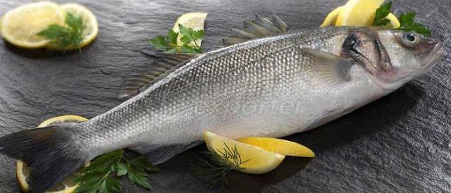 Sea Bass