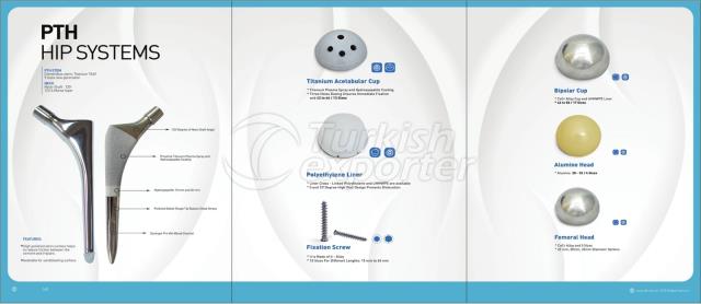 Hip Prosthesis