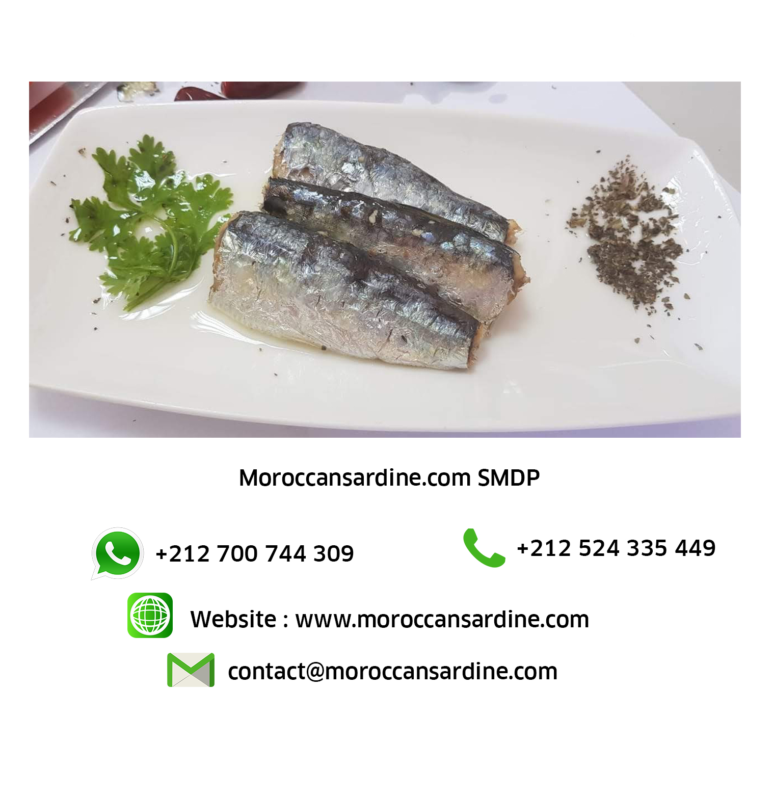 Moroccan sardines export 