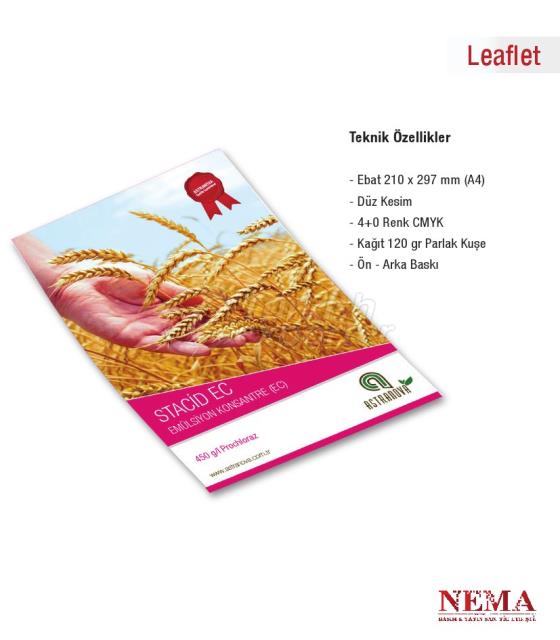 Brochure