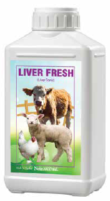 Liver Fresh