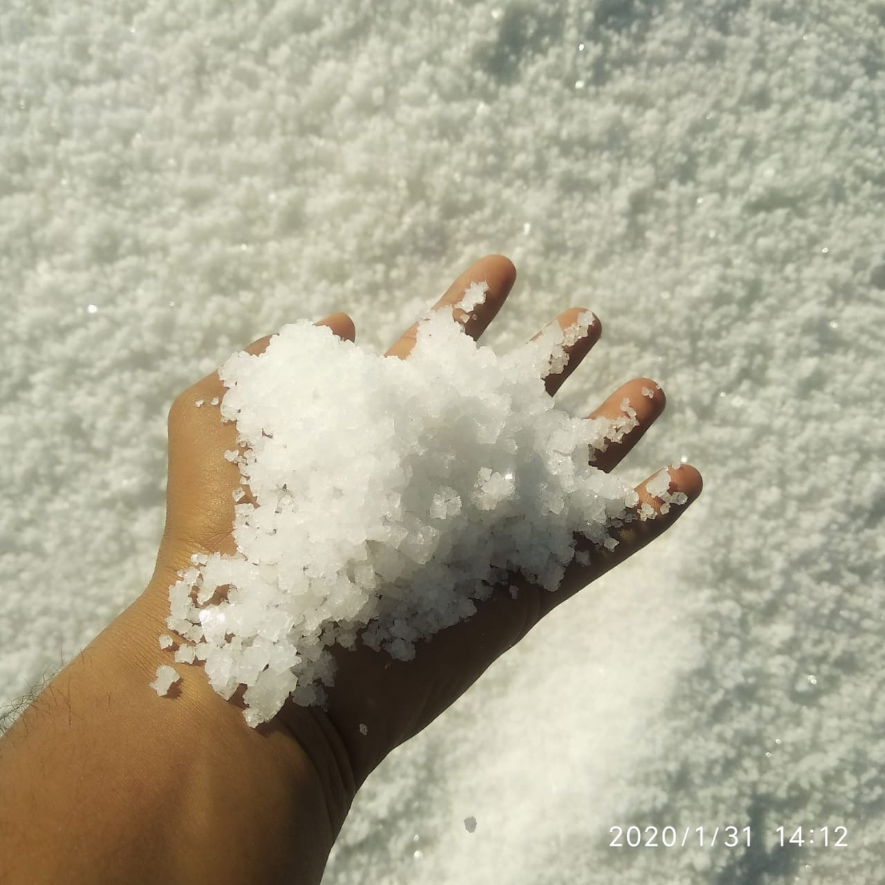 Sea Salt