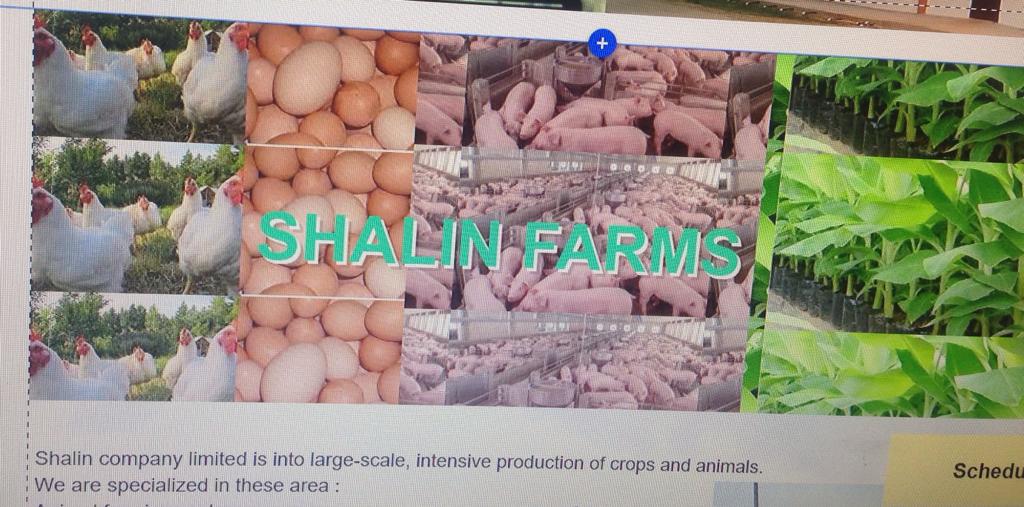 Shalin Farms