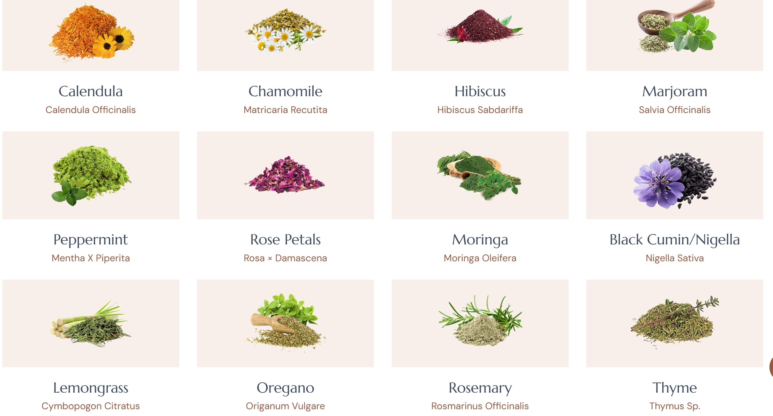Aromatic herbs