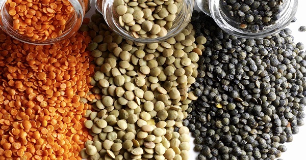 Lentils