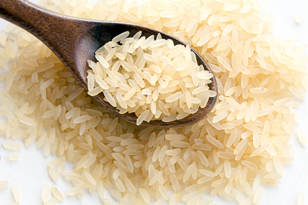 Rice 