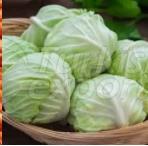 White Cabbage