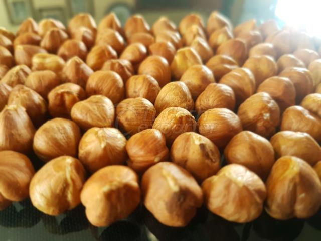 hazelnut