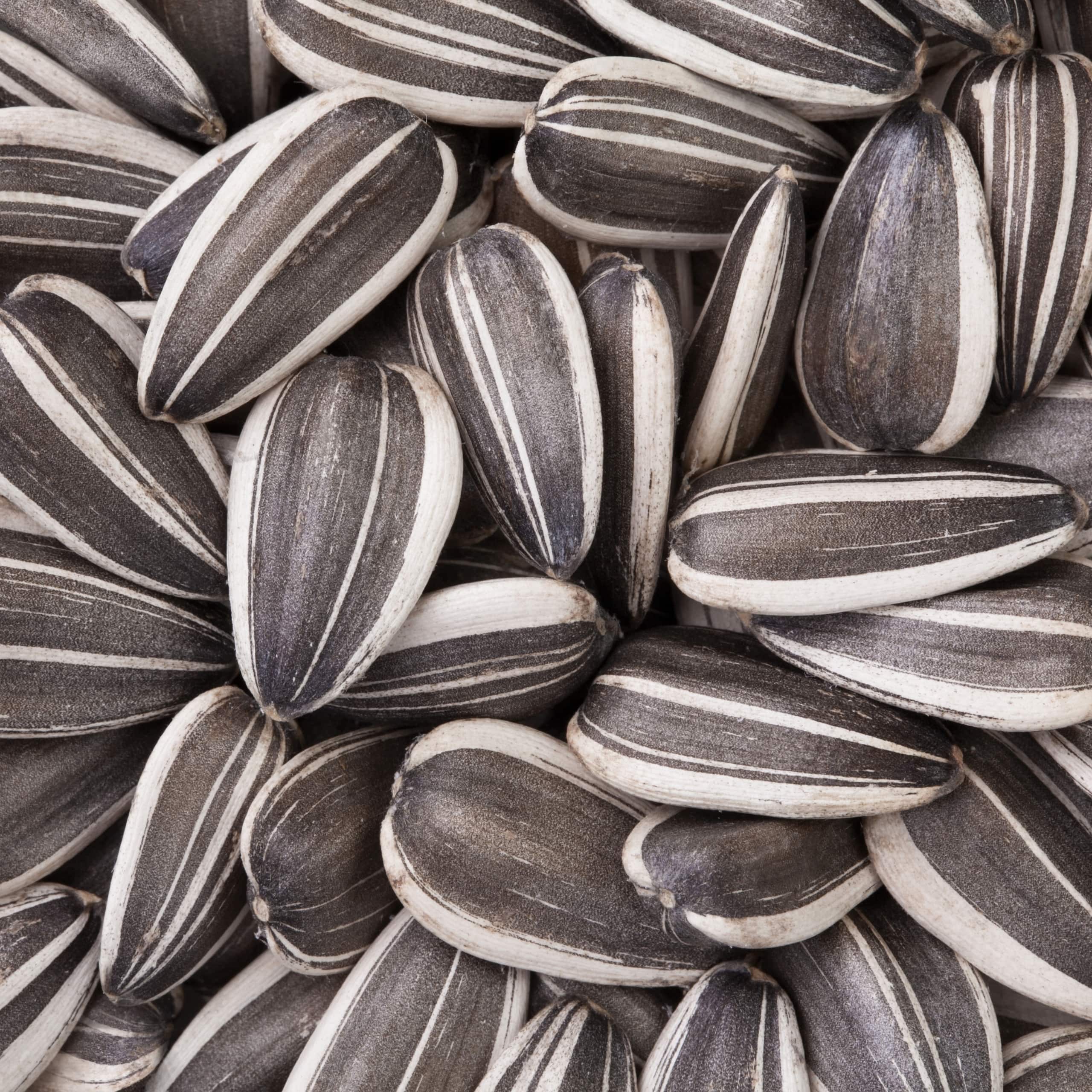 SUNFLOWER SEEDS