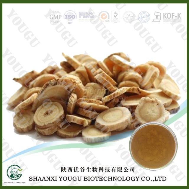 Astragalus Membranaceus Extract