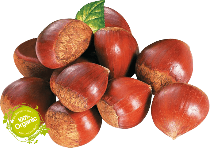 ORGANIC CHESTNUT