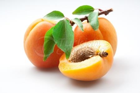 Apricot