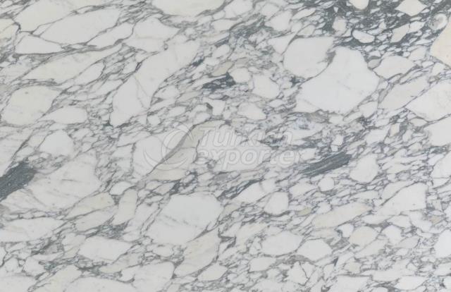 Marble Carcara