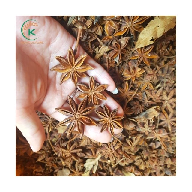 Vietnam Premium Quality Star Anise 