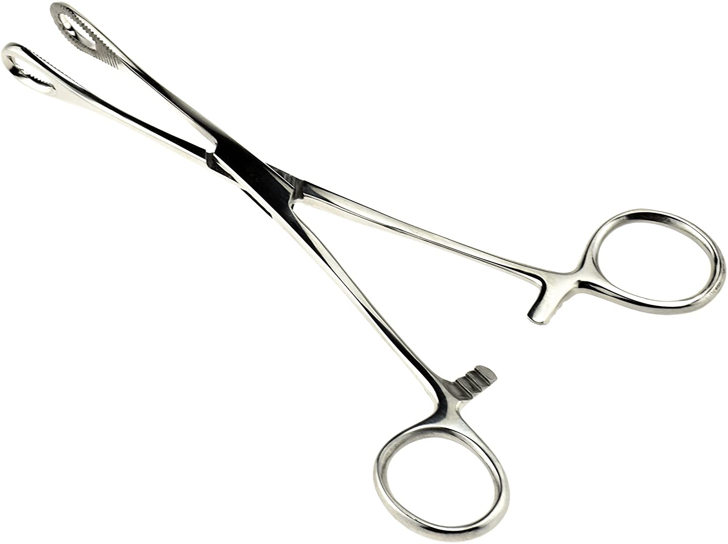 Sponge Holding forceps 