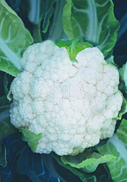 Cauliflower